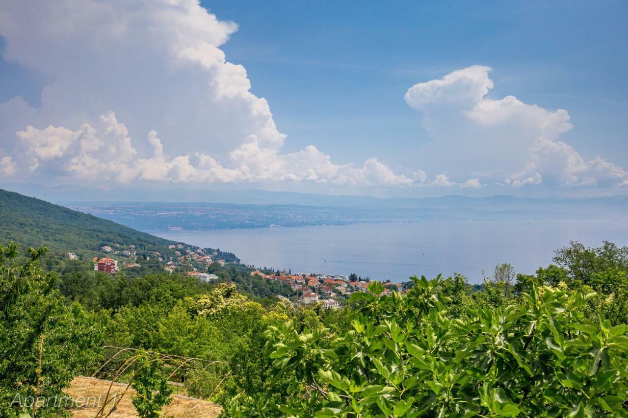 Apartments Rumac Opatija Exterior foto